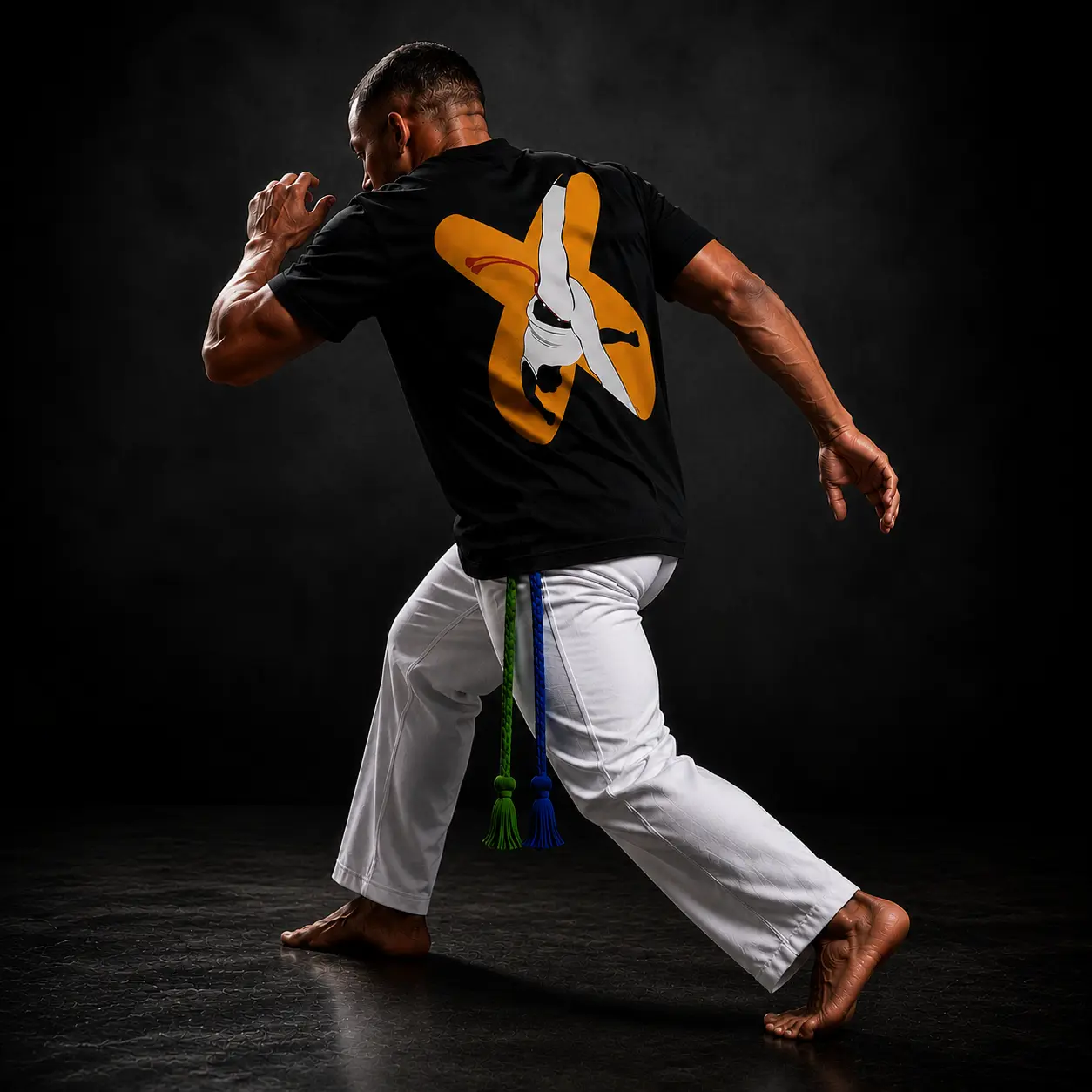 carrossel 4 - capoeira
